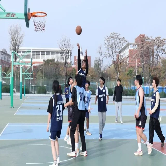 德约科维奇赛程解析：顶尖赛事与时间安排详解